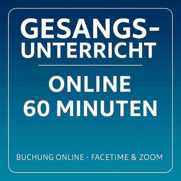 🎶 Einzelstunde Online – 60 Minuten