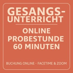🎶 Online-Probestunde (60 Minuten)